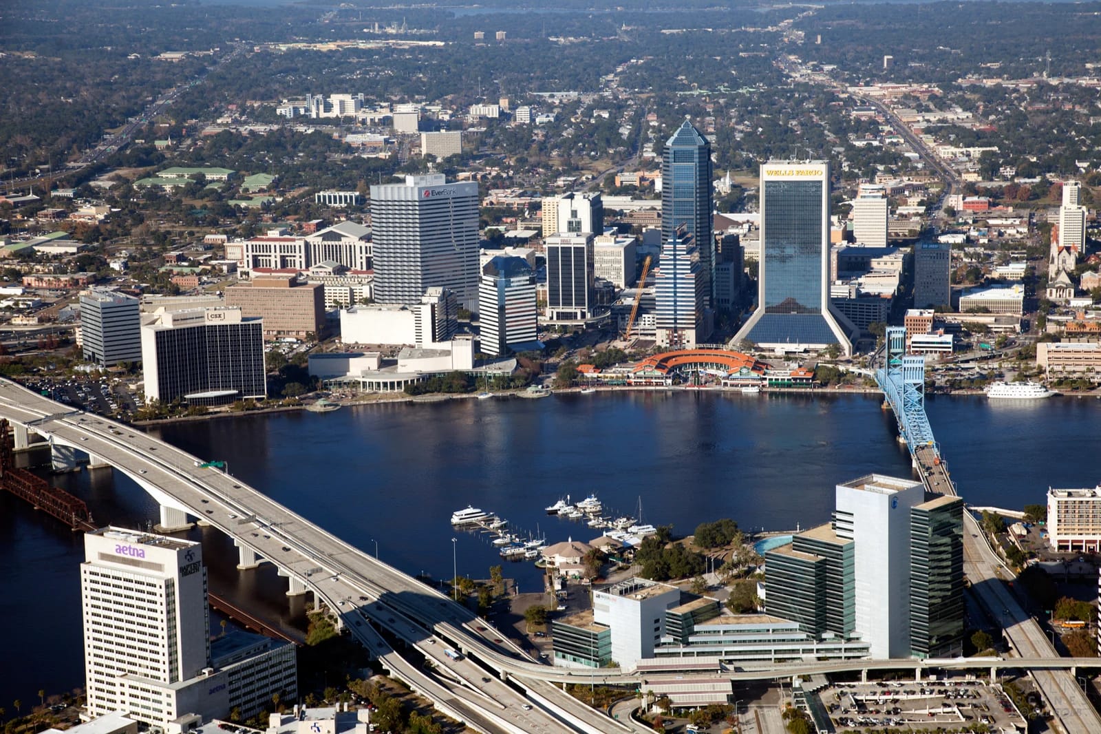 Jacksonville skyline representing Jacksonville Tree Co. service area