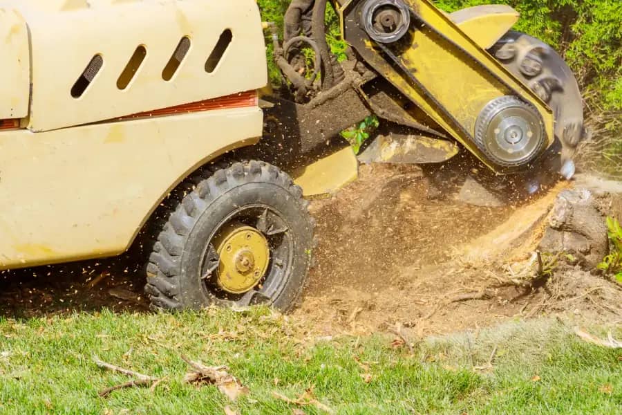 Stump Grinding by Jacksonville Tree Co. in Jacksonville